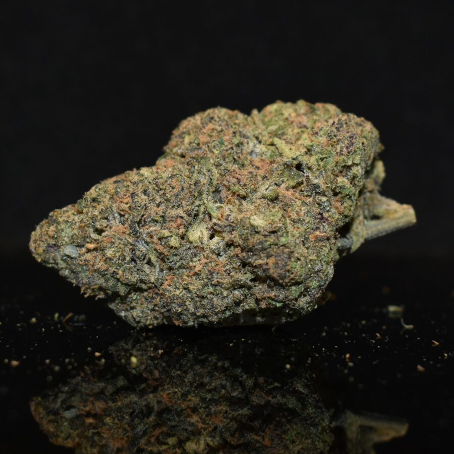 Gary Payton strain, Gary Payton weed strain, Gary Payton marijuana strain, Gary Payton Buds