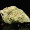 Black Extra Cherry - Hybrid strain, Black Extra Cherry - Hybrid weed strain, Black Extra Cherry - Hybrid marijuana strain, Black Extra Cherry - Hybrid Buds