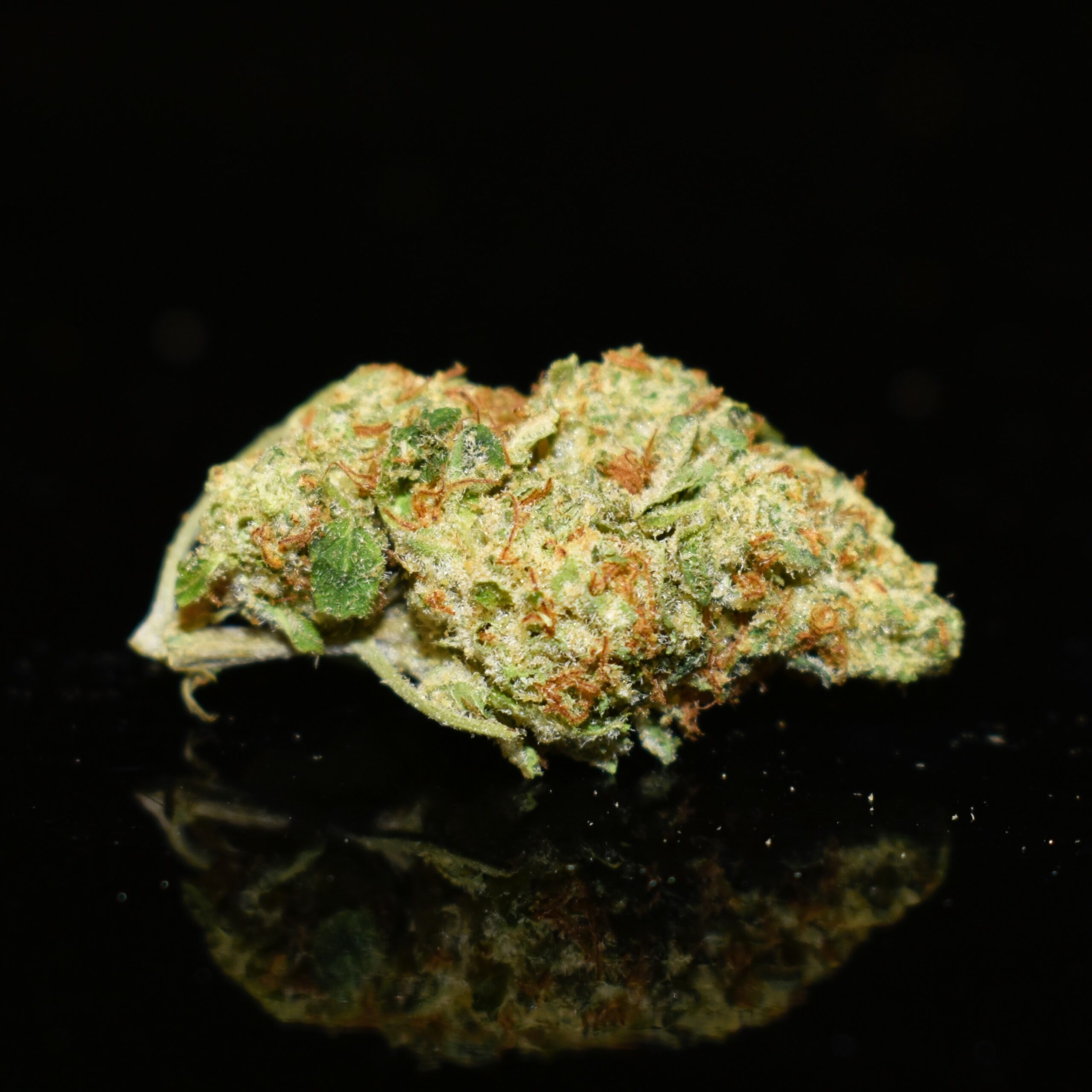 grandPa！　ROBUST RSC-53ML Buy Grandpa's Stash (AAA) Online in Canada - Bulk Weed