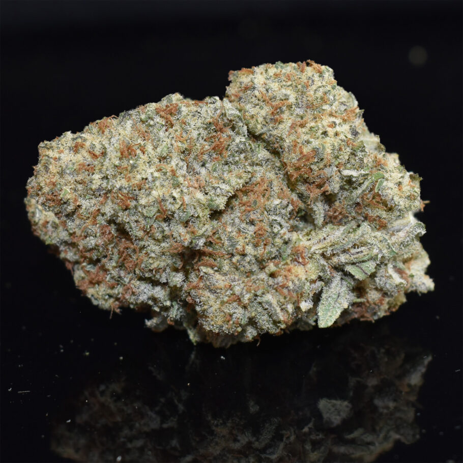 Gelato strain, Gelato weed strain, Gelato marijuana strain, Gelato Buds