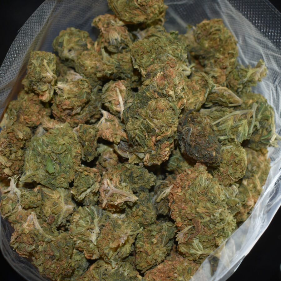 OG strain, OG weed strain, OG marijuana strain, OG Buds