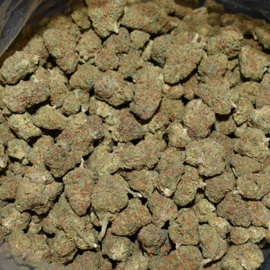 King Sherb strain, King Sherb weed strain, King Sherb marijuana strain, King Sherb Buds