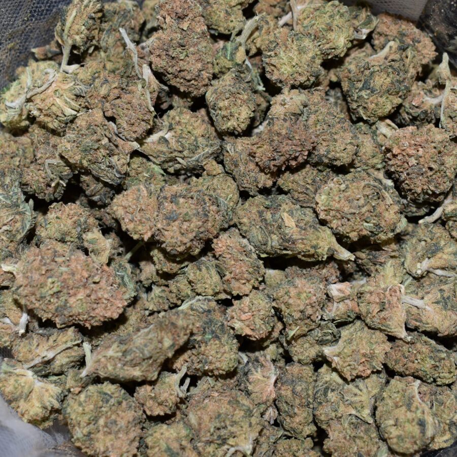 Lemon Head strain, Lemon Head weed strain, Lemon Head marijuana strain, Lemon Head Buds