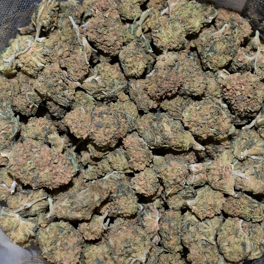 Lemon Head strain, Lemon Head weed strain, Lemon Head marijuana strain, Lemon Head Buds