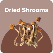 dried shrooms