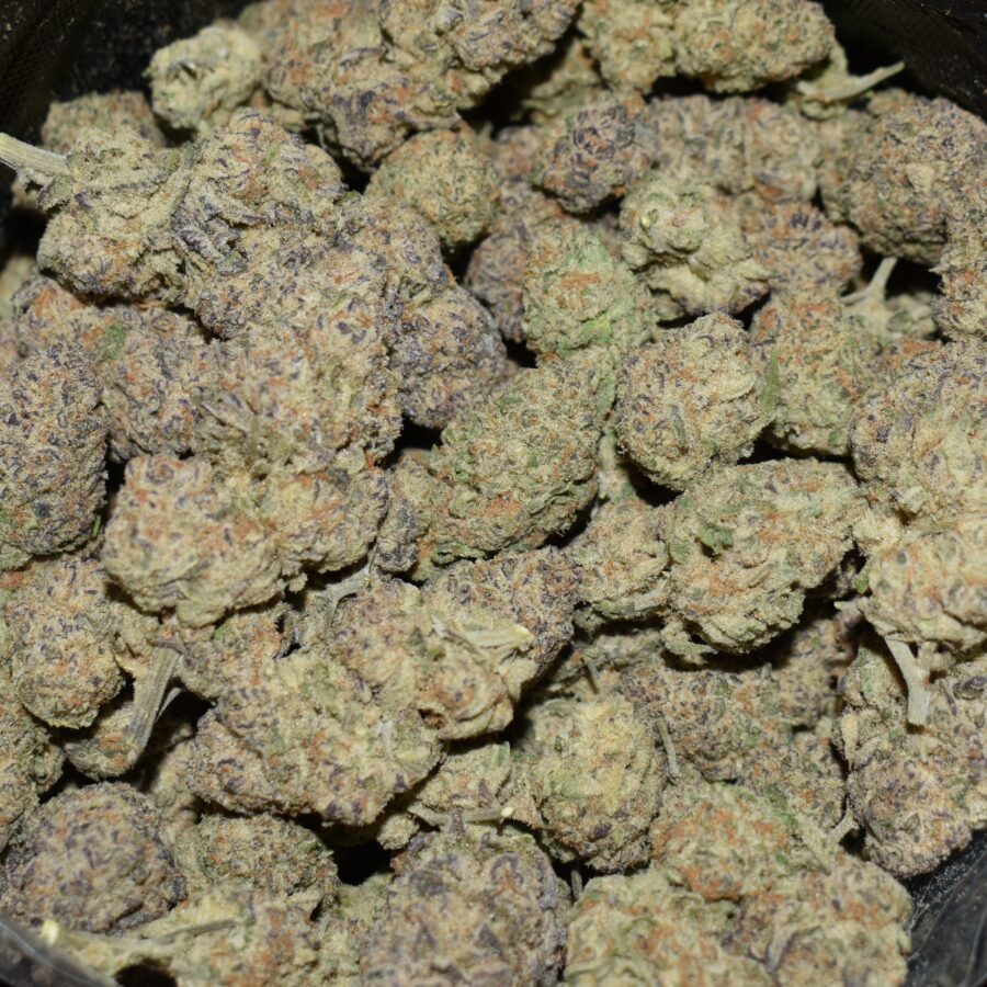 Purple Milk strain, Purple Milk weed strain, Purple Milk marijuana strain, Purple Milk Buds