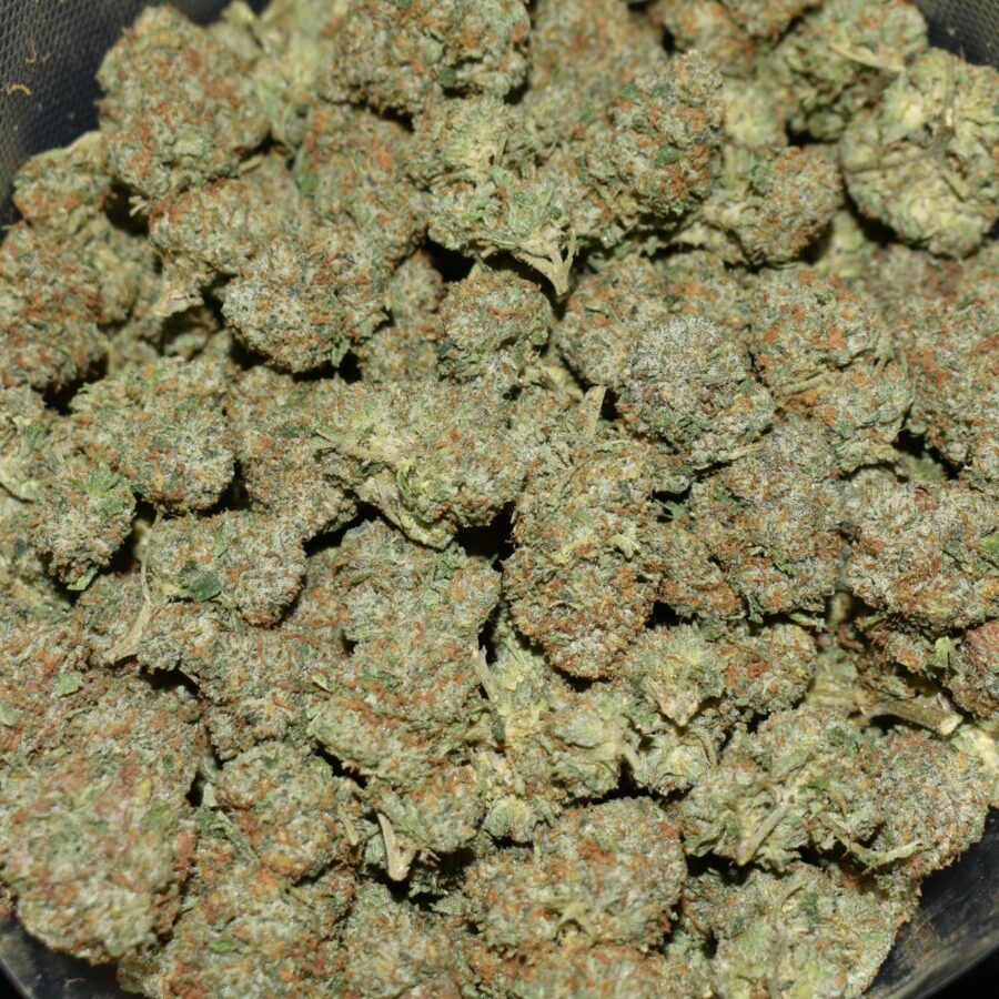 Cheese Vader strain, Cheese Vader weed strain, Cheese Vader marijuana strain, Cheese Vader Buds