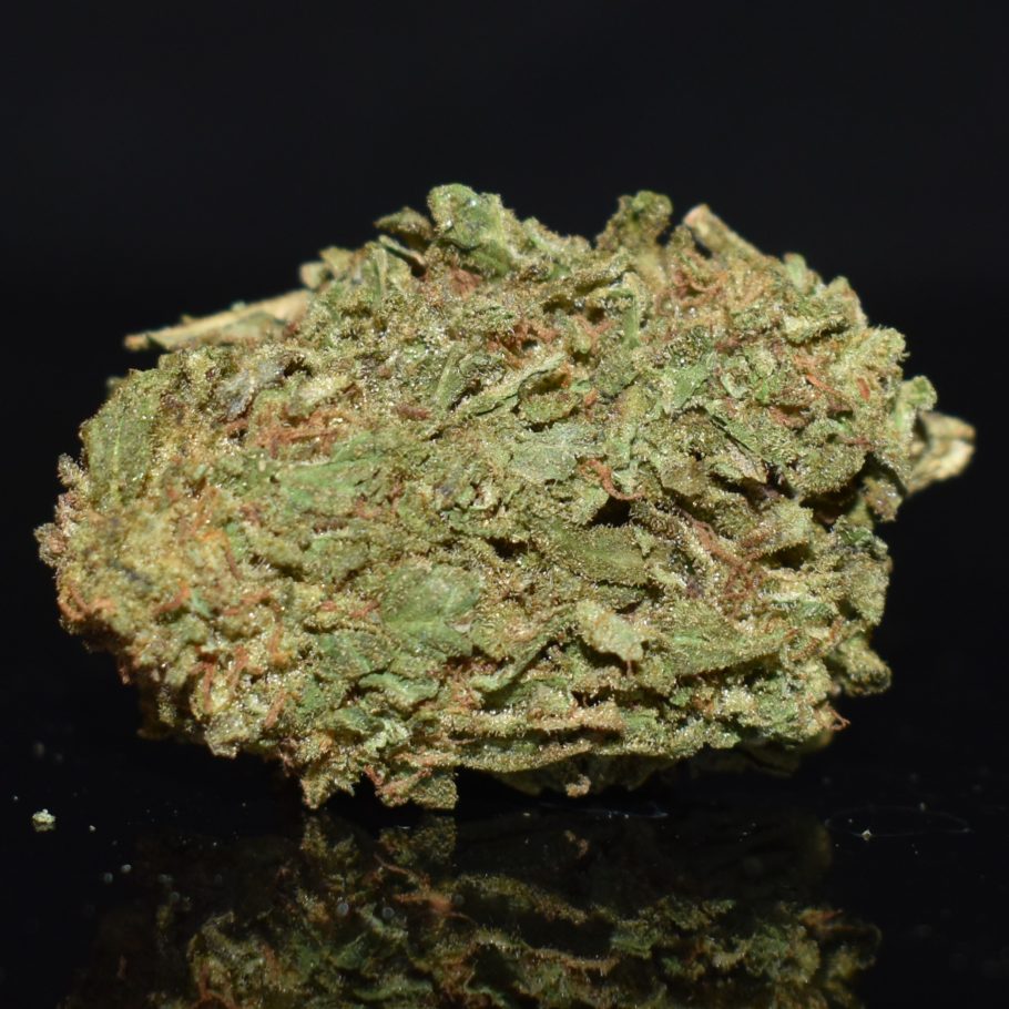 Oreoz strain, Oreoz weed strain, Oreoz marijuana strain, Oreoz Buds