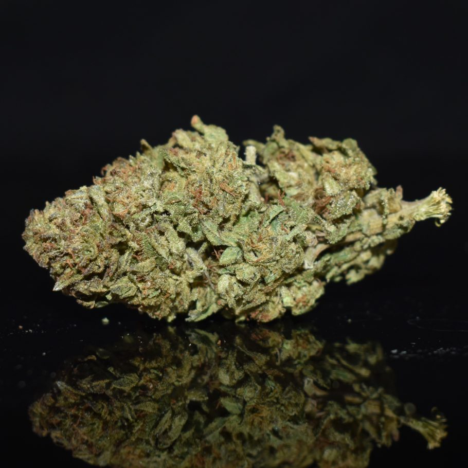 Oreoz strain, Oreoz weed strain, Oreoz marijuana strain, Oreoz Buds