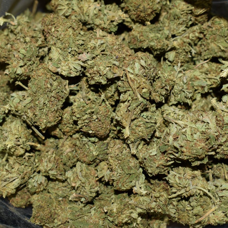 Oreoz strain, Oreoz weed strain, Oreoz marijuana strain, Oreoz Buds