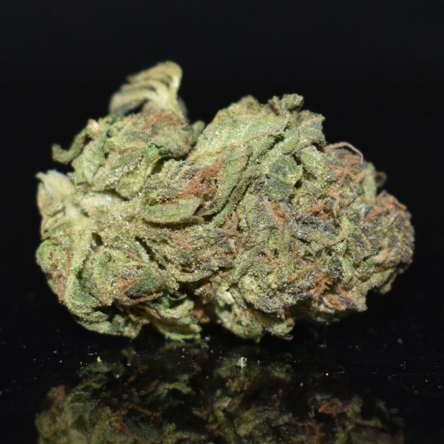 Alien Mintz strain, Alien Mintz weed strain, Alien Mintz marijuana strain, Alien Mintz Buds