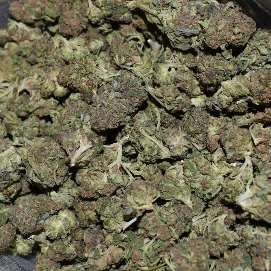 Alien Mintz strain, Alien Mintz weed strain, Alien Mintz marijuana strain, Alien Mintz Buds