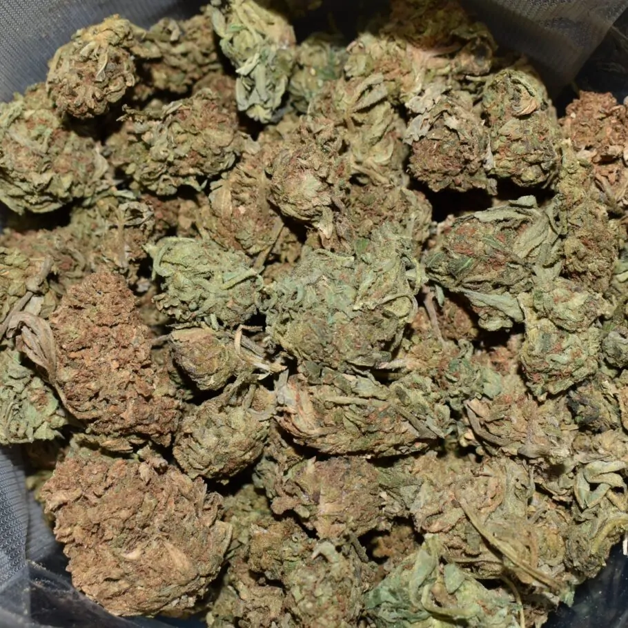 Super Pink strain, Super Pink weed strain, Super Pink marijuana strain, Super Pink Buds