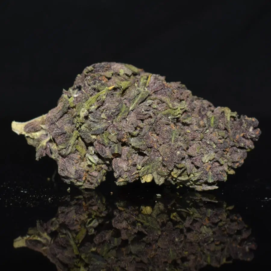 Violeta strain, Violeta weed strain, Violeta marijuana strain, Violeta Buds