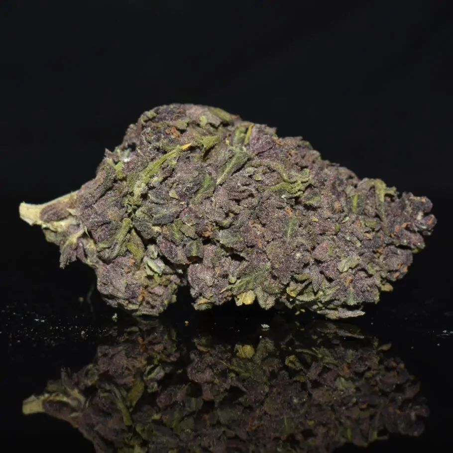 Violeta strain, Violeta weed strain, Violeta marijuana strain, Violeta Buds