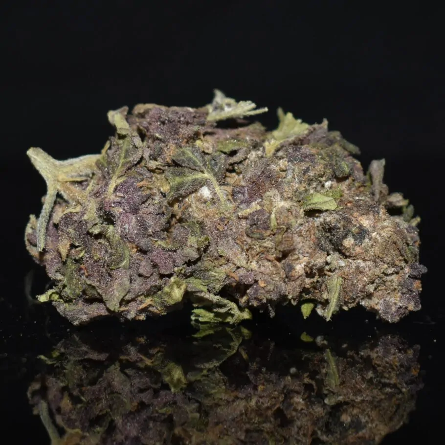 Violeta strain, Violeta weed strain, Violeta marijuana strain, Violeta Buds