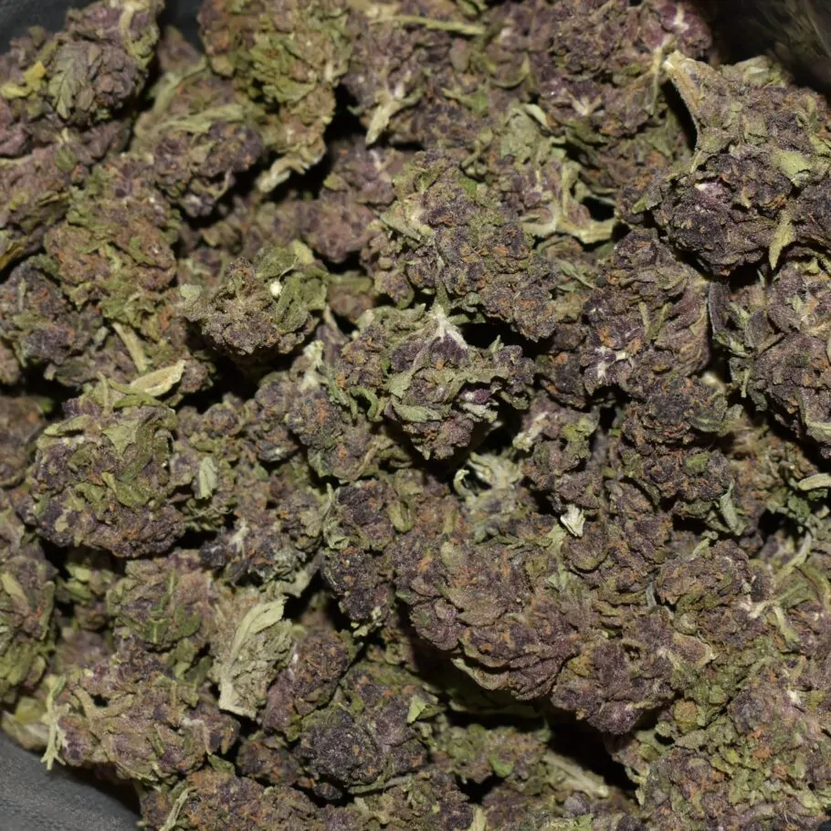 Violeta strain, Violeta weed strain, Violeta marijuana strain, Violeta Buds