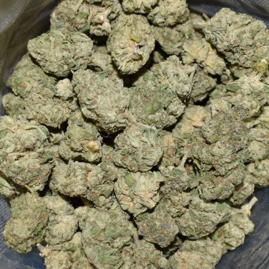 Zkittle strain, Zkittle weed strain, Zkittle marijuana strain, Zkittle Buds