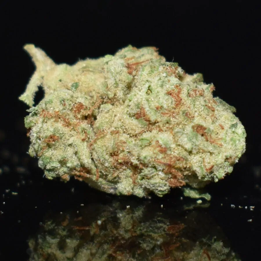Death Bubba Popcorn strain, Death Bubba Popcorn weed strain, Death Bubba Popcorn marijuana strain, Death Bubba Popcorn Buds