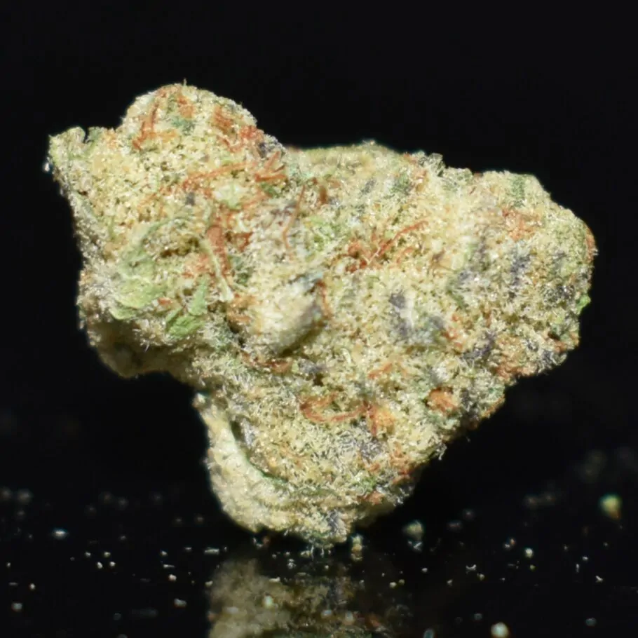 Death Bubba Popcorn strain, Death Bubba Popcorn weed strain, Death Bubba Popcorn marijuana strain, Death Bubba Popcorn Buds