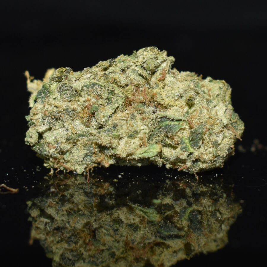 Master Kush strain, Master Kush weed strain, Master Kush marijuana strain, Master Kush Buds
