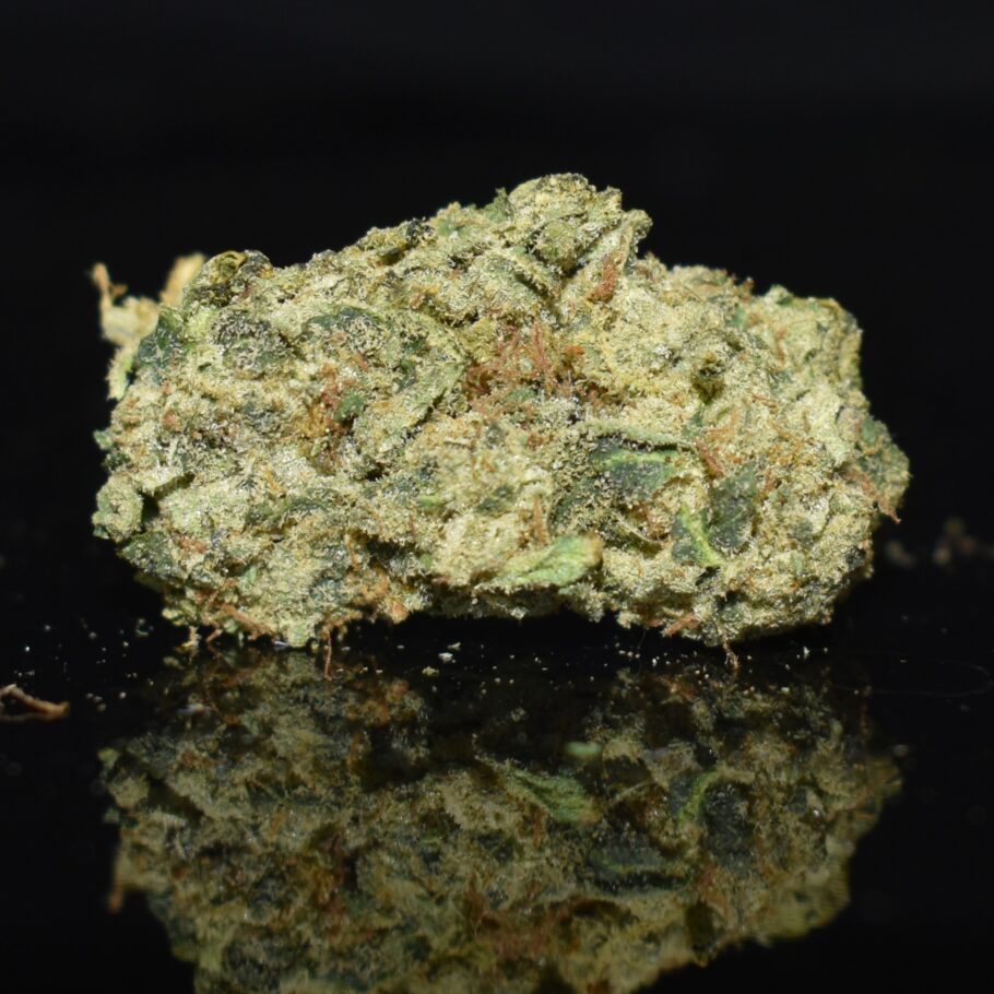 Master Kush strain, Master Kush weed strain, Master Kush marijuana strain, Master Kush Buds