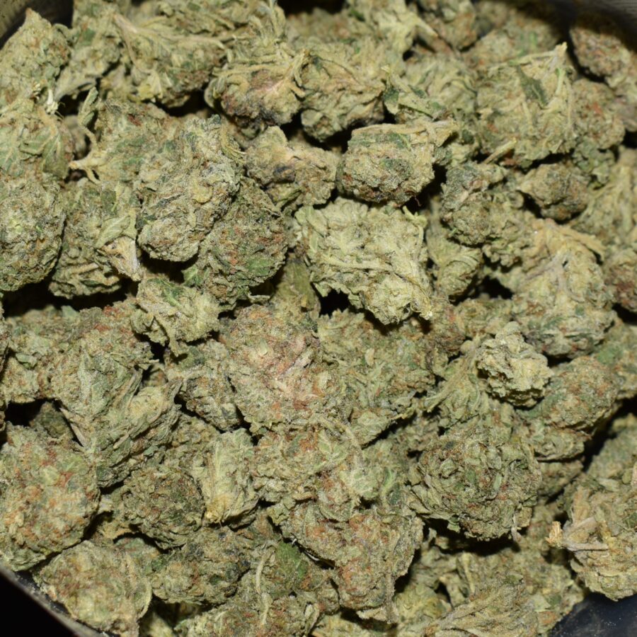 Master Kush strain, Master Kush weed strain, Master Kush marijuana strain, Master Kush Buds