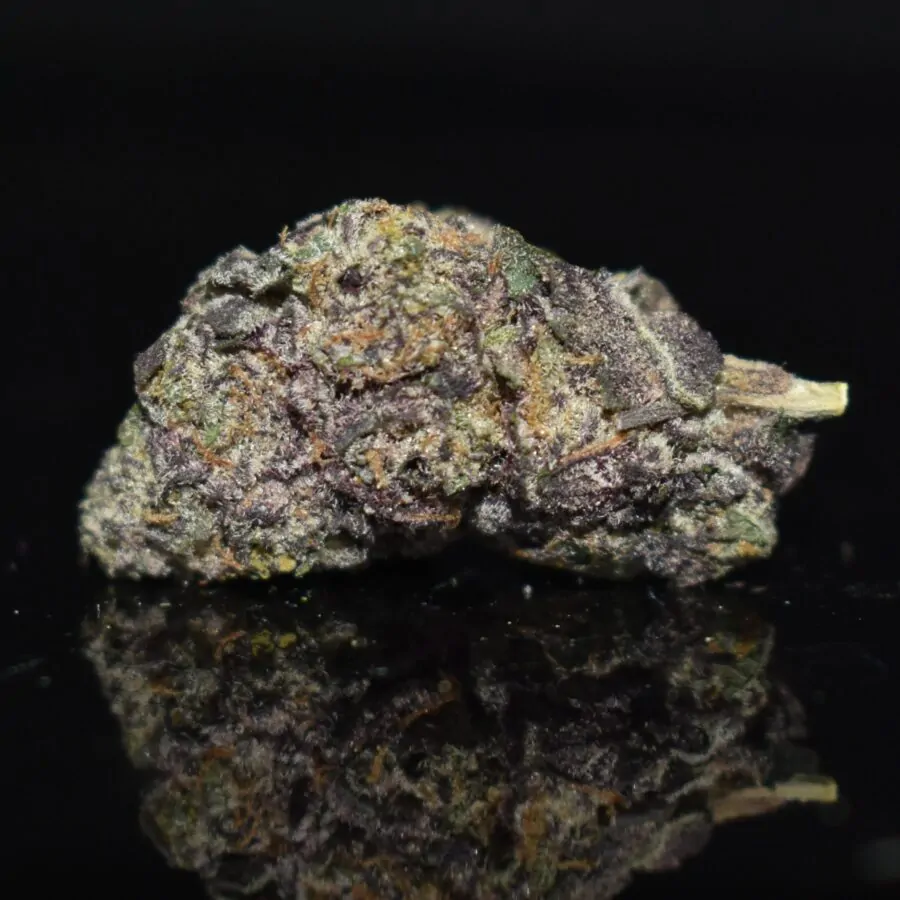 N95 strain, N95 weed strain, N95 marijuana strain, N95 Buds