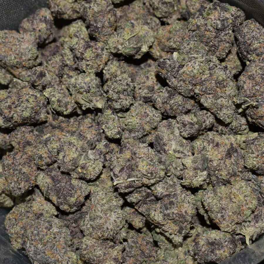N95 strain, N95 weed strain, N95 marijuana strain, N95 Buds