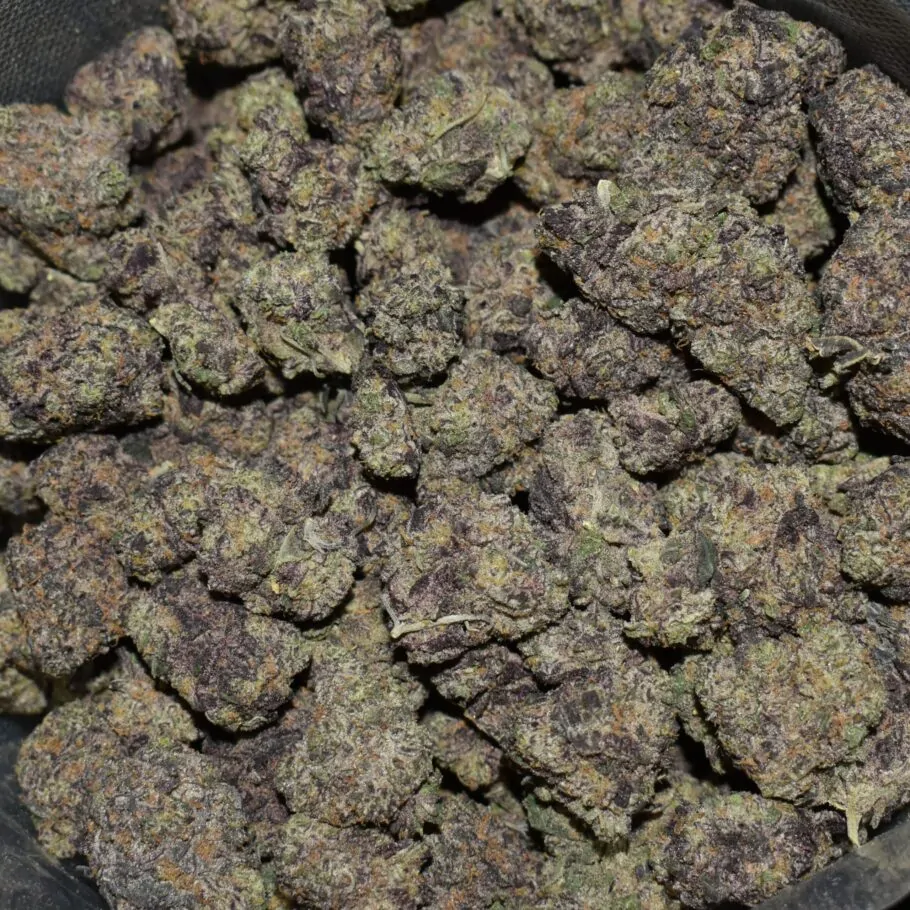 N95 strain, N95 weed strain, N95 marijuana strain, N95 Buds