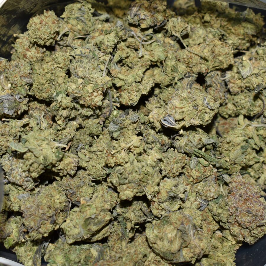 Ninja Fruit strain, Ninja Fruit weed strain, Ninja Fruit marijuana strain, Ninja Fruit Buds