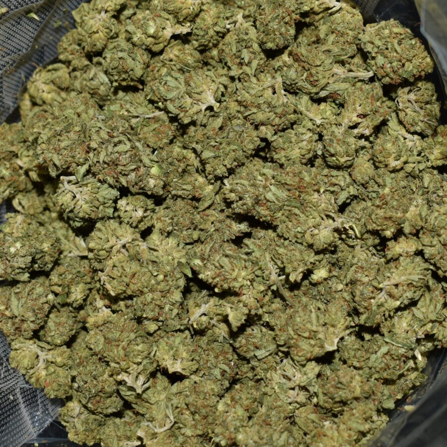 Nuken strain, Nuken weed strain, Nuken marijuana strain, Nuken Buds