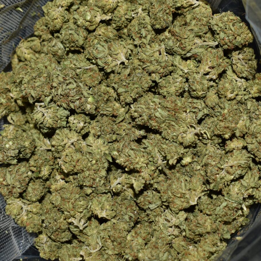 Nuken strain, Nuken weed strain, Nuken marijuana strain, Nuken Buds