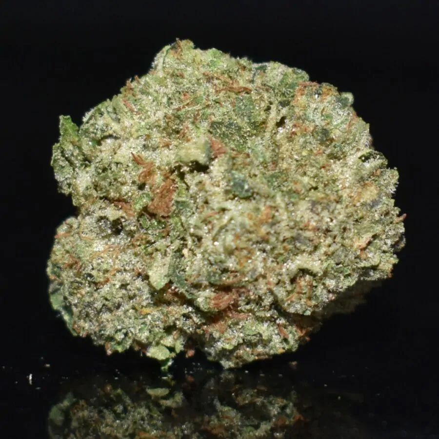 Pink Rockstar strain, Pink Rockstar weed strain, Pink Rockstar marijuana strain, Pink Rockstar Buds
