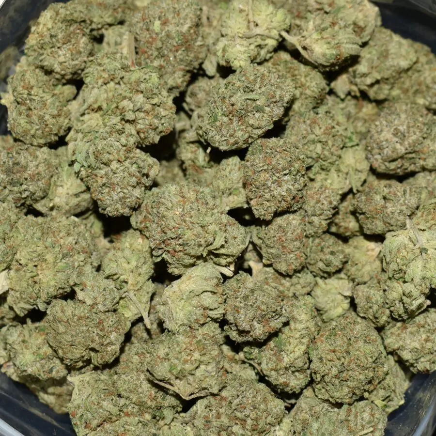 Pink Rockstar strain, Pink Rockstar weed strain, Pink Rockstar marijuana strain, Pink Rockstar Buds