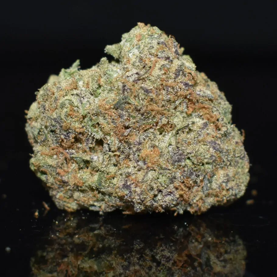 Santa Maria strain, Santa Maria weed strain, Santa Maria marijuana strain, Santa Maria Buds