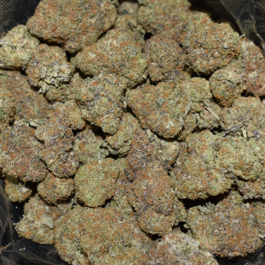 Santa Maria strain, Santa Maria weed strain, Santa Maria marijuana strain, Santa Maria Buds
