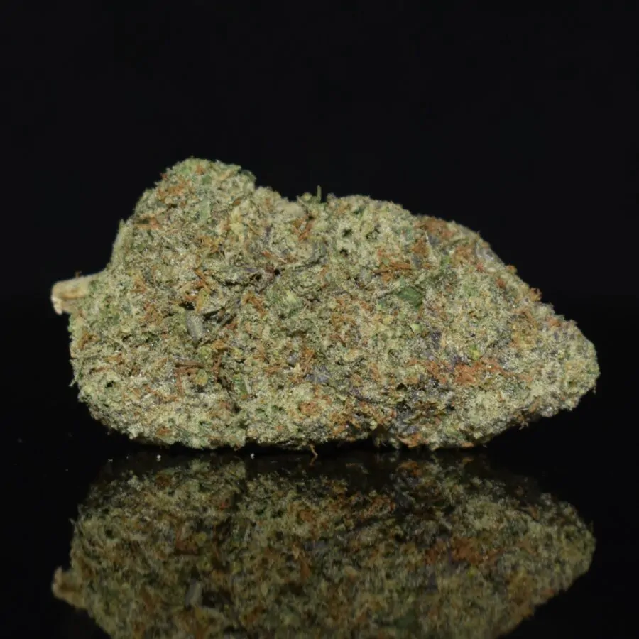 MK Ultra strain, MK Ultra weed strain, MK Ultra marijuana strain, MK Ultra Buds