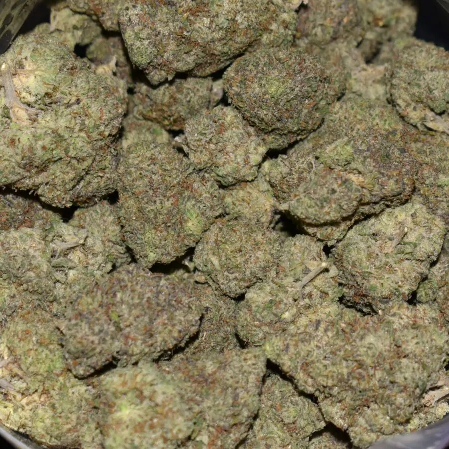MK Ultra strain, MK Ultra weed strain, MK Ultra marijuana strain, MK Ultra Buds