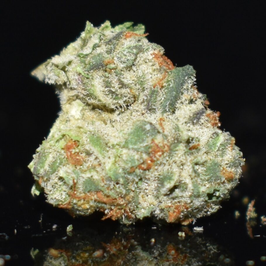 Legend OG (Popcorn) strain, Legend OG (Popcorn) weed strain, Legend OG (Popcorn) marijuana strain, Legend OG (Popcorn) Buds
