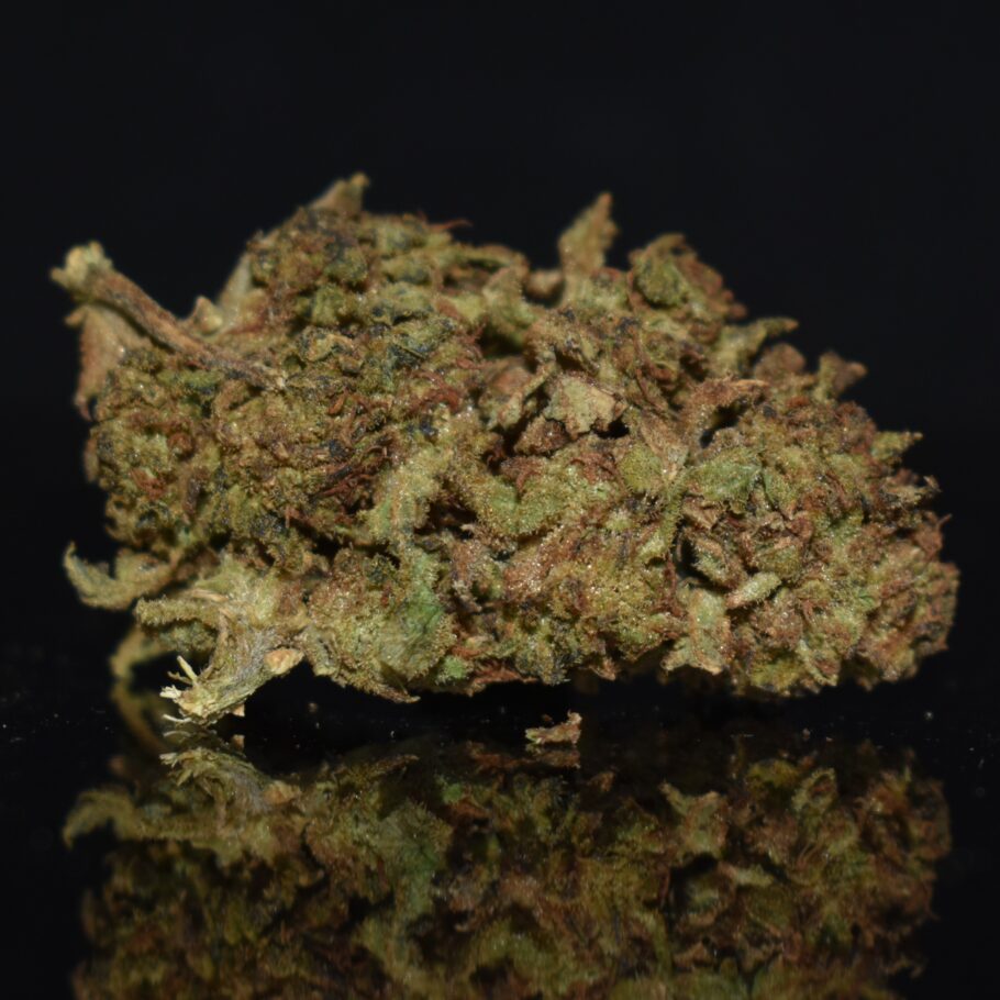 Supreme Oreoz strain, Supreme Oreoz weed strain, Supreme Oreoz marijuana strain, Supreme Oreoz Buds