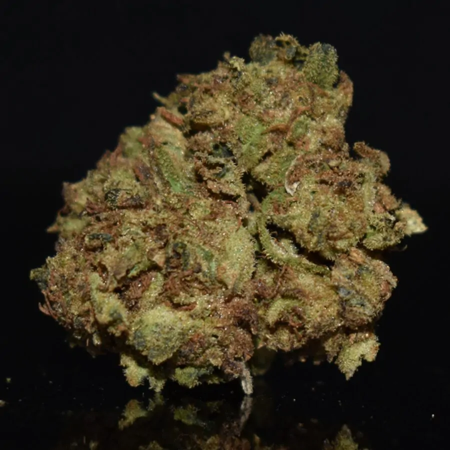 Supreme Oreoz strain, Supreme Oreoz weed strain, Supreme Oreoz marijuana strain, Supreme Oreoz Buds