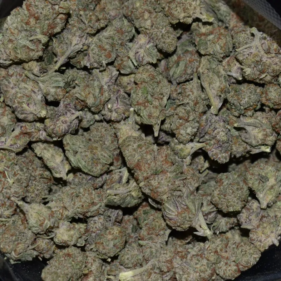 Triangle OG strain, Triangle OG weed strain, Triangle OG marijuana strain, Triangle OG Buds
