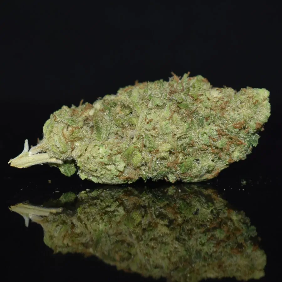 Triple OG Plus strain, Triple OG Plus weed strain, Triple OG Plus marijuana strain, Triple OG Plus Buds