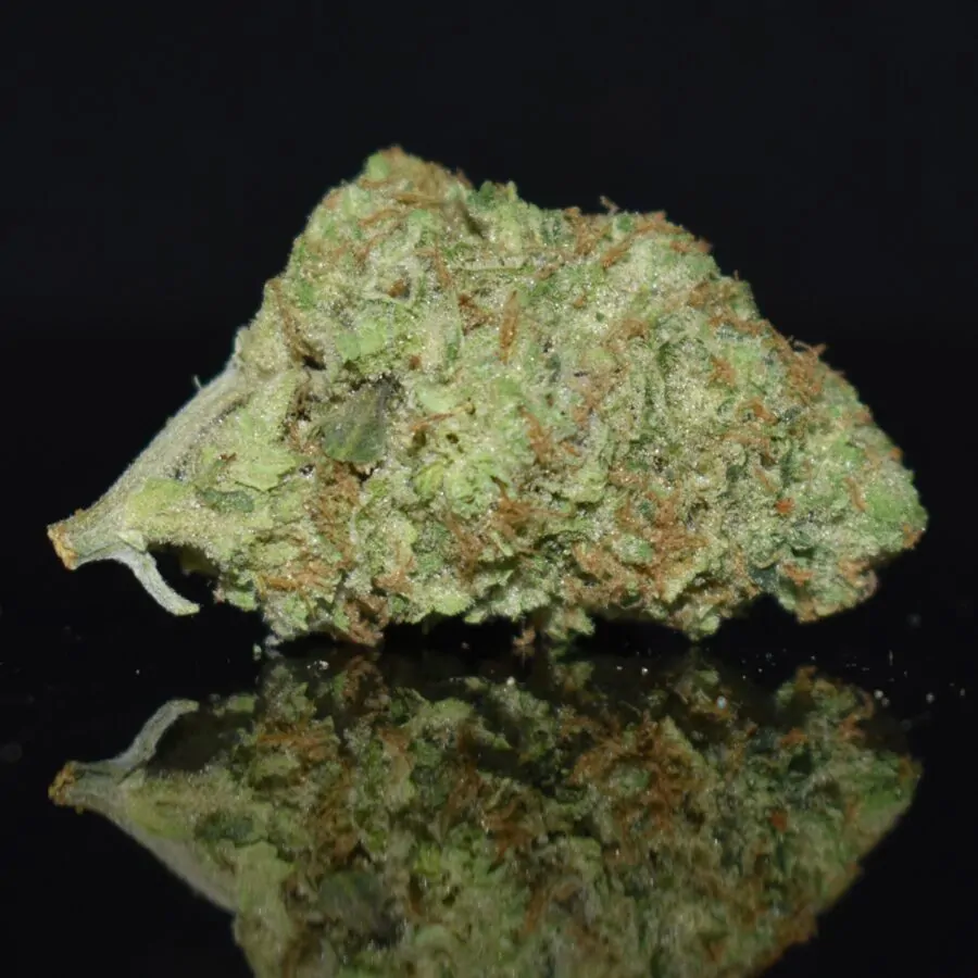 Triple OG Plus strain, Triple OG Plus weed strain, Triple OG Plus marijuana strain, Triple OG Plus Buds