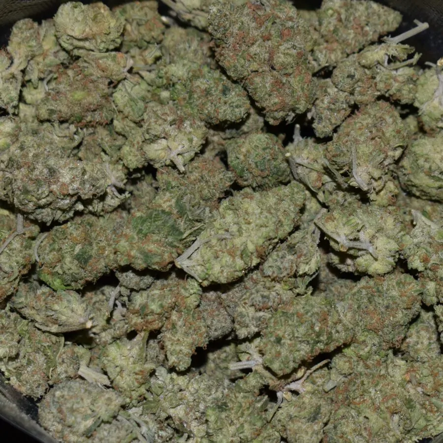 Triple OG Plus strain, Triple OG Plus weed strain, Triple OG Plus marijuana strain, Triple OG Plus Buds