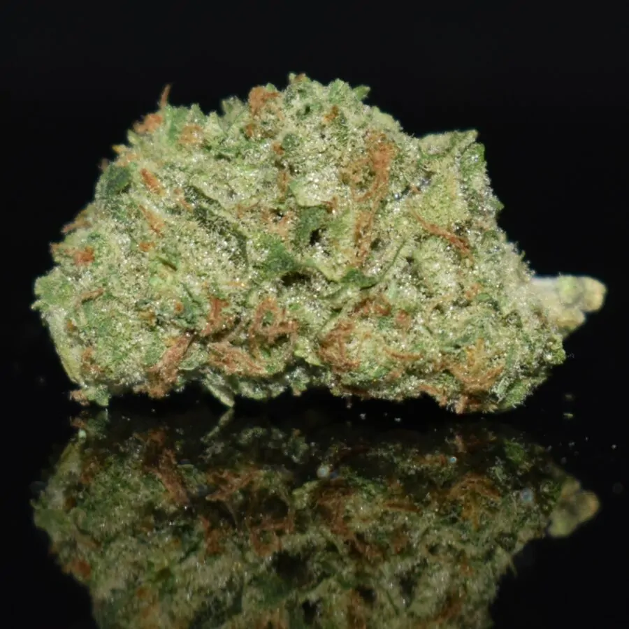 Triple OG Plus strain, Triple OG Plus weed strain, Triple OG Plus marijuana strain, Triple OG Plus Buds