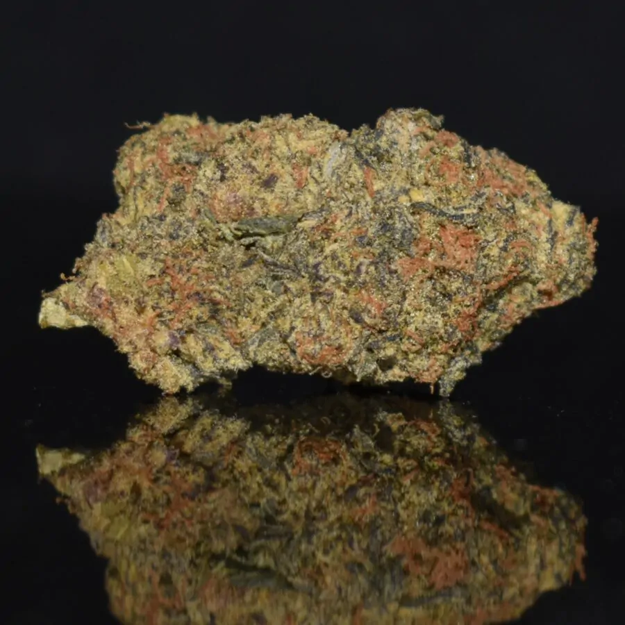 Black Truffle strain, Black Truffle weed strain, Black Truffle marijuana strain, Black Truffle Buds