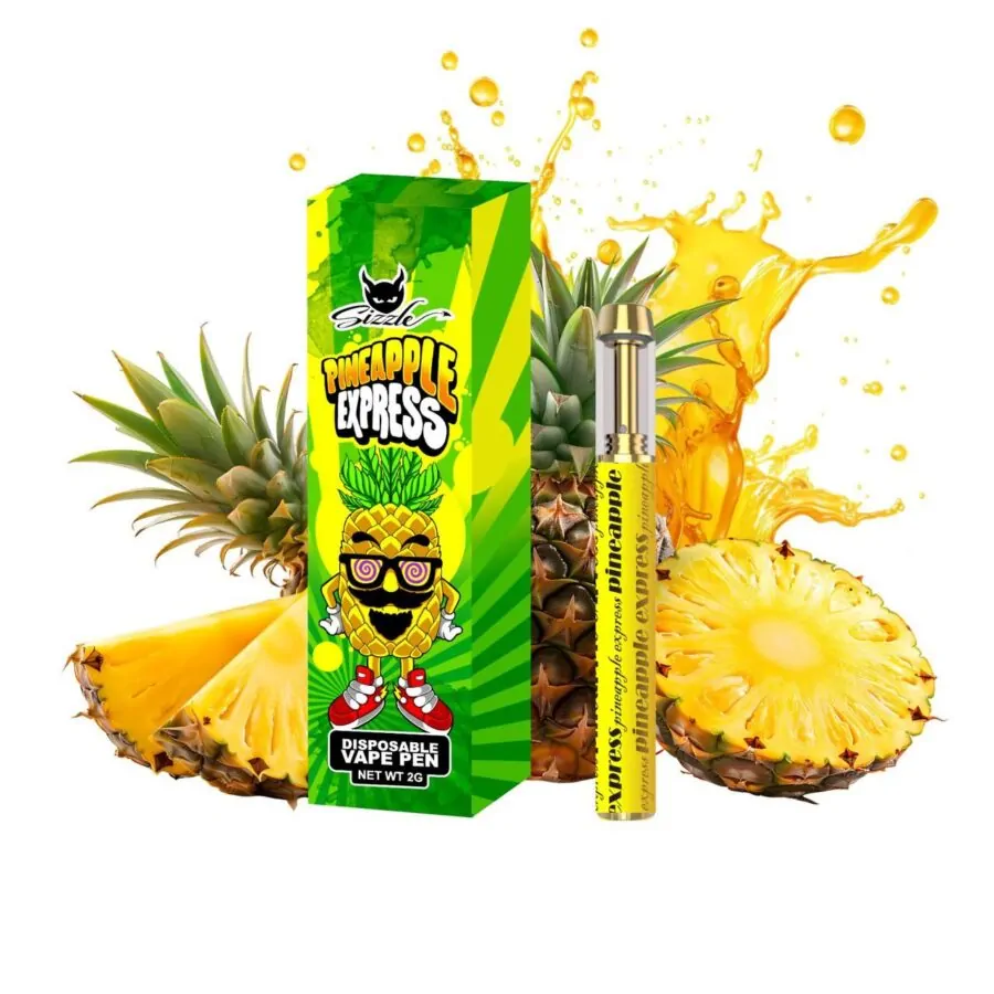 Pineapple Express Disposable Pen 2g