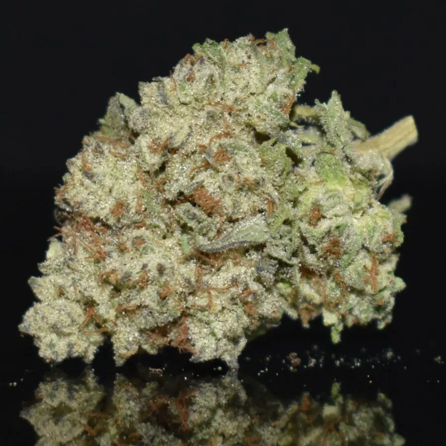 Pink Lava strain, Pink Lava weed strain, Pink Lava marijuana strain, Pink Lava Buds